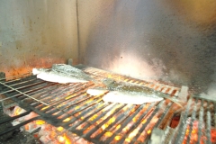 pratos_do_dia (9)